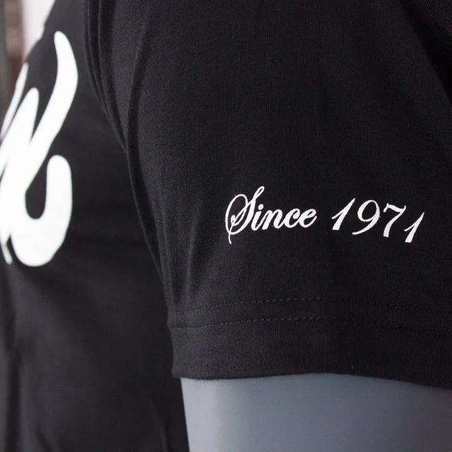 Koszulka Fairtex Classic Logo TST7  - Image 7