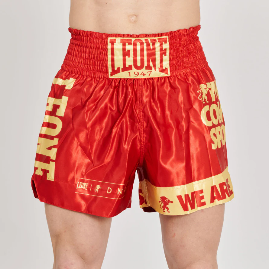 Spodenki kick-thai Leone DNA AB966  - Image 18