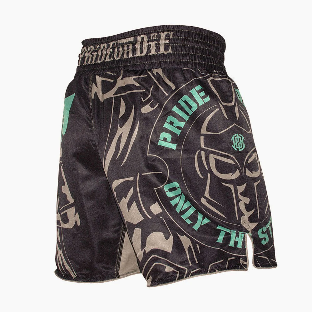 Spodenki MMA Pride or Die Tylko najsilniejsi  - Image 4