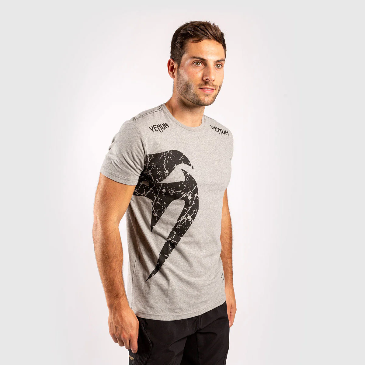 T-Shirt w Bawełna Venum Giant Szaro-Czarny  - Image 5